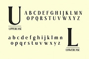 Elnaks Modern Serif Display, a Serif Font by Luna Shop (Thumbnail 3 of 9)