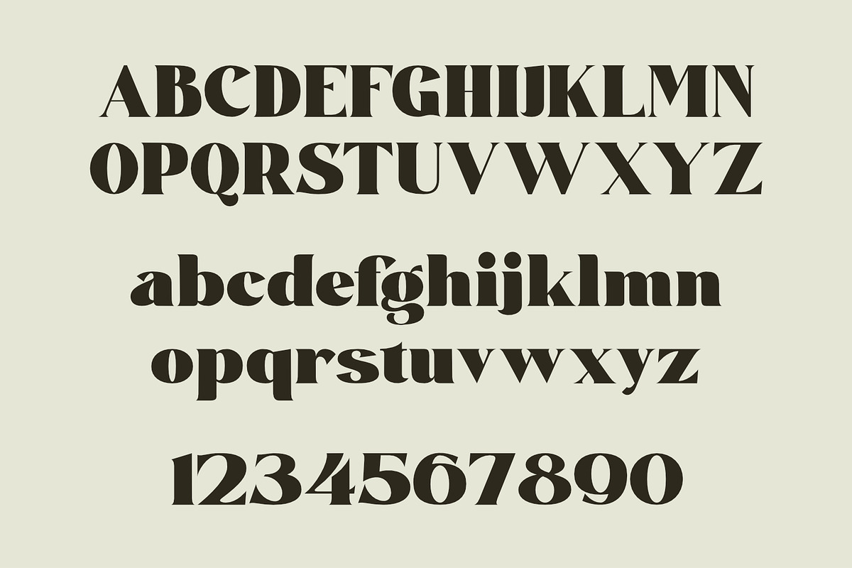 Sadila, a Serif Font by Khoir (Photo 7 of 10)
