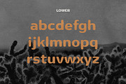 Buckaroo - Desert Typeface, a Serif Font by HipFonts (Thumbnail 3 of 7)