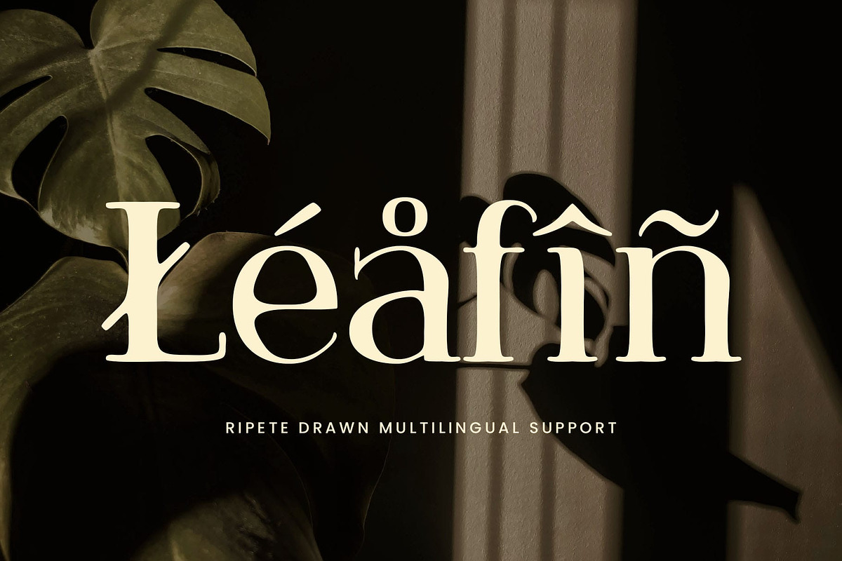 Ripete Drawn, a Serif Font by Craft Supply Co. (Photo 3 of 8)