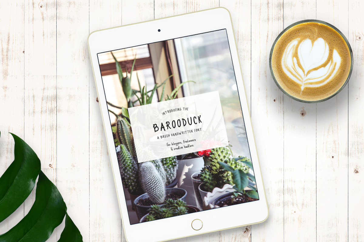 Barooduck preview 5