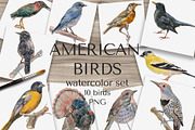 American Birds Watercolor Set, an Illustration by Malena (Thumbnail 1 of 4)