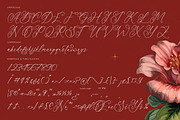 Notheli Dahlia Stylish Beauty Script, a Script Font by stylishtype.co (Thumbnail 18 of 20)
