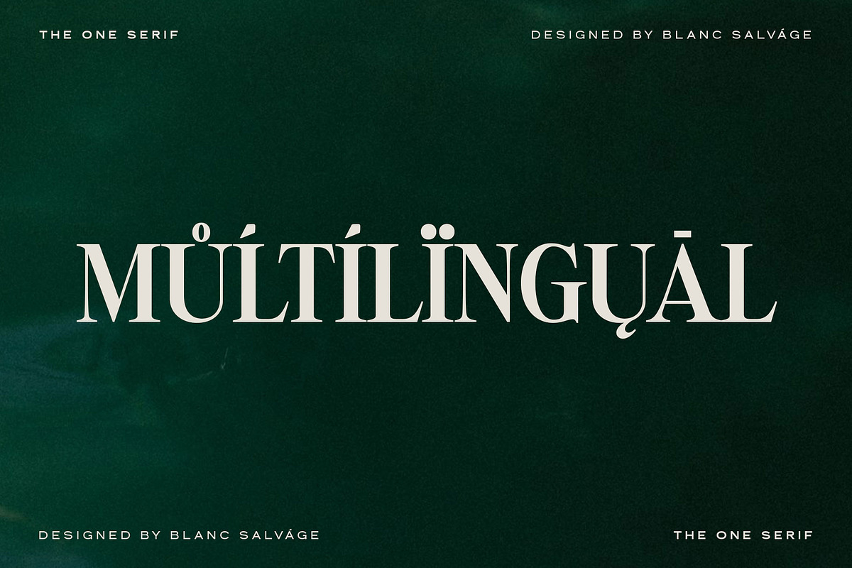 The One Editorial Serif, a Serif Font by Blanc Salváge (Photo 18 of 18)