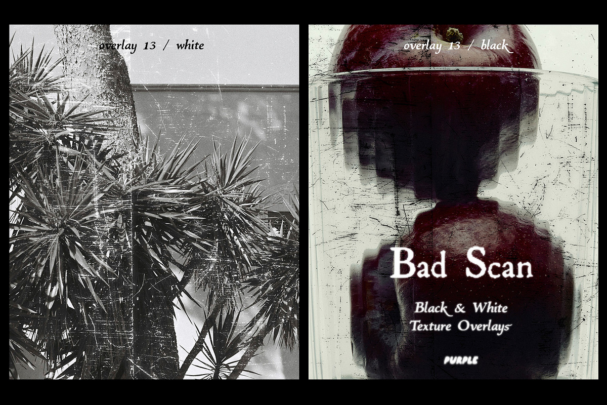 Bad Scan: Black & White Overlays, a Texture Graphic by Purple (Photo 15 of 21)