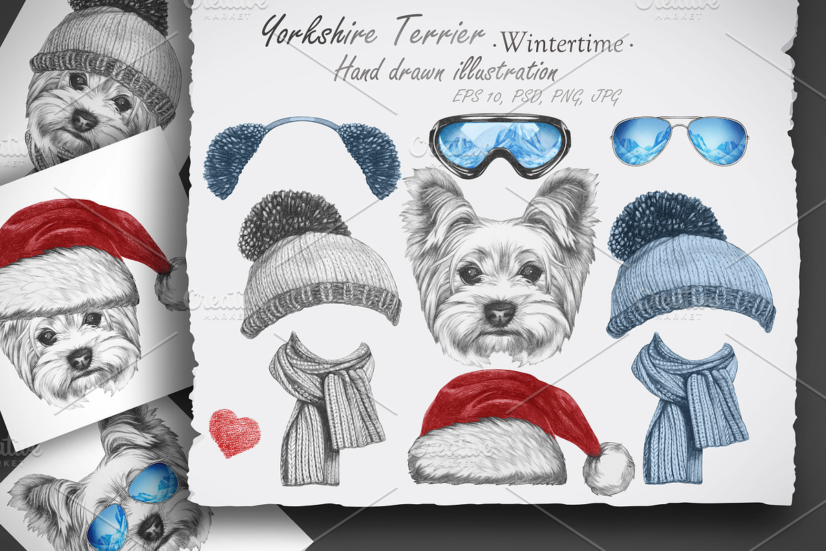 Yorkshire terrier / Wintertime, an Animal Illustration by Victoria_Novak (Photo 1 of 3)