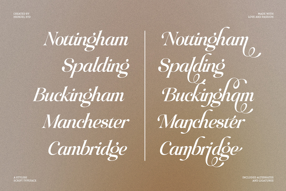 Raillouise Stylish Script Font, a Script Font by Heinzel Std (Photo 7 of 16)