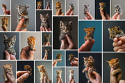 Miniature animals - 87 images, an Animal Photo by Handmadefont (Thumbnail 4 of 10)