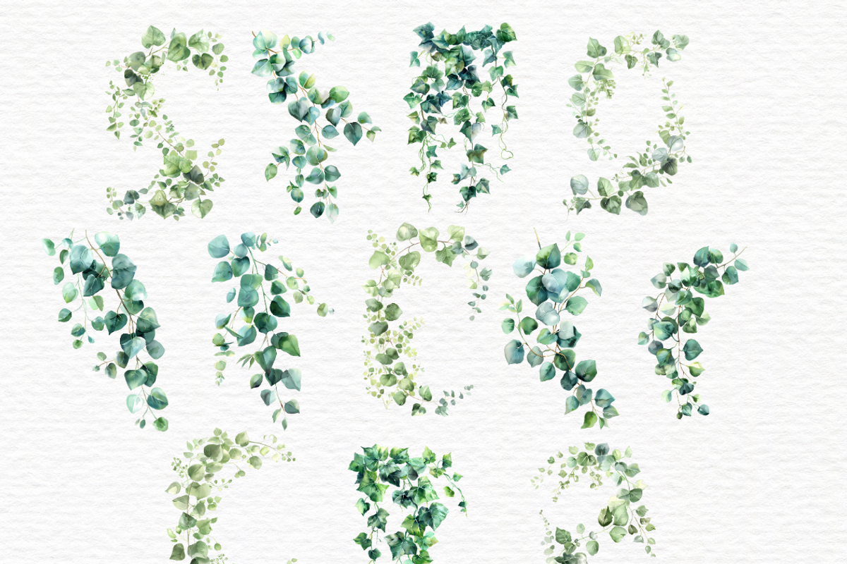 Ivy vines clipart, Greenery, a Decorative Illustration by Invite to Clipart (Photo 2 of 5)