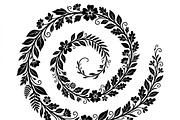 50 Elegant Floral Leaf Spiral Frame, a Decorative Illustration by Amazin_art (Thumbnail 39 of 39)