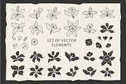 Hand-Drawn Magnolia. Linocut set, a Background Graphic by Lettering_Logo (Thumbnail 17 of 17)