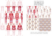 Watercolor anatomical body charts, a Healthcare Illustration by Ekaterina Glazkova (Thumbnail 7 of 8)