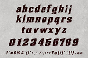 Montac Gartenz - Vintage Power, a Serif Font by HypeWorksCo (Thumbnail 13 of 13)
