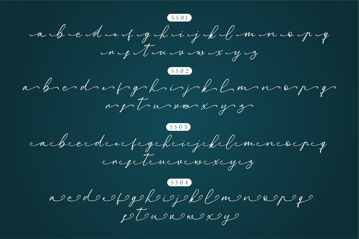 Donatellia Signature, a Script Font by Garisman Std (Photo 10 of 13)