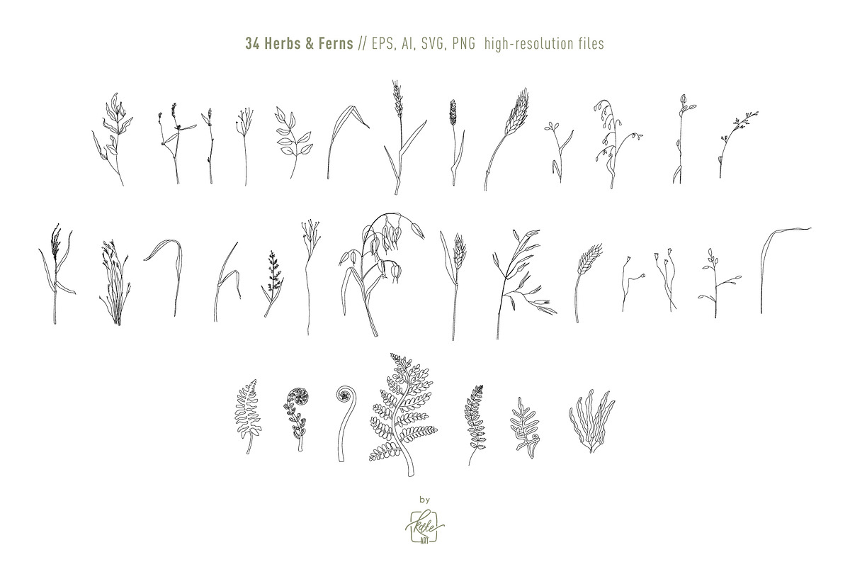 COTTAGECORE HERBARIUM, an Object Illustration by Kate Art (Photo 4 of 22)