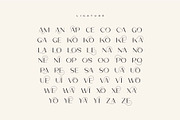 Poina - Beauty Ligature Font, a Sans Serif Font by suhadidesign (Thumbnail 10 of 12)