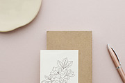 Hand drawn magnolia flowers set, an Object Illustration by RaDavCrafts (Thumbnail 3 of 8)