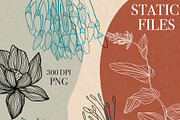 Animated NATURA handmade graphic, an Illustration by holaholga (Thumbnail 7 of 10)