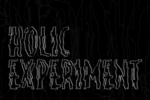HOLIC Experiment