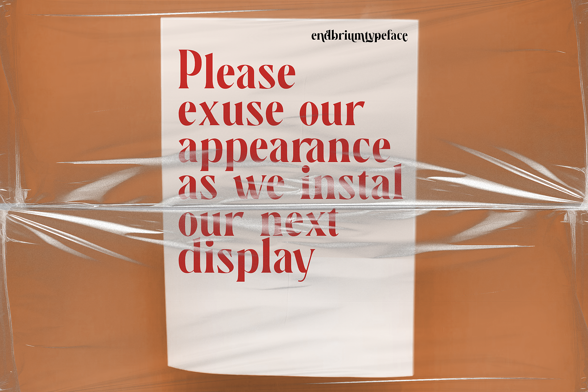 Endbrium - A Modern Serif Display, a Serif Font by zamjumps (Photo 9 of 12)