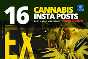 Social Media Cannabis Posts Pack, a Social Media Template by Maioriz Shop (Thumbnail 1 of 5)