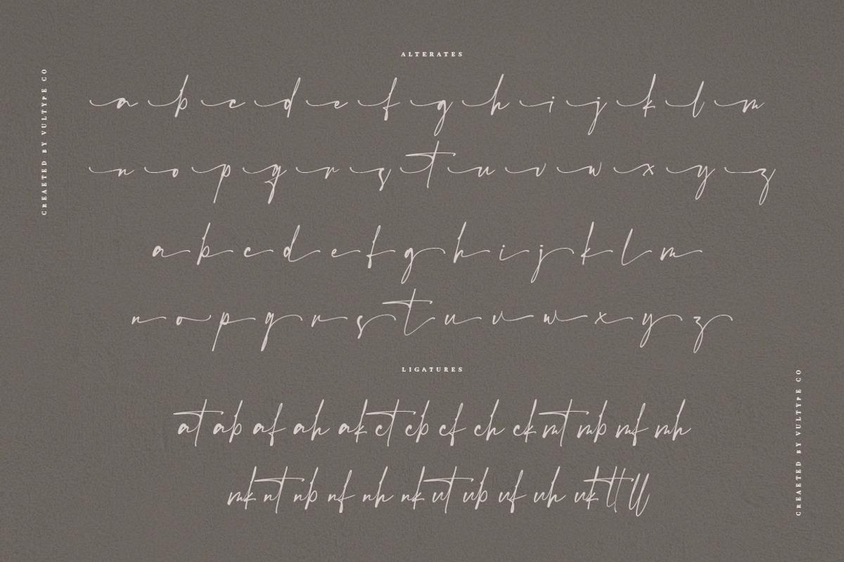The Hamstter Signature Font, a Script Font by Vultype Co. (Photo 9 of 11)