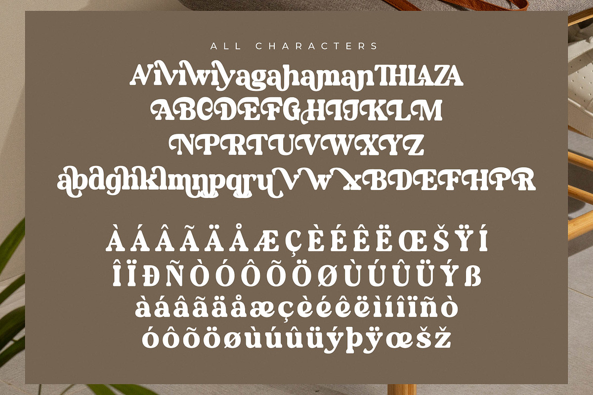 Daylist Beach Retro Serif Font, a Serif Font by Letterena Studios (Photo 14 of 15)