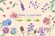 Lavender & Rose Clipart Set, a Seasonal Illustration by VianneArt (Thumbnail 1 of 4)