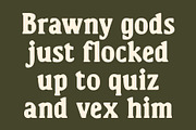 CS Sherin Drawn, a Serif Font by Craft Supply Co. (Thumbnail 5 of 8)