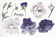 Blue peonies, watercolor, a Decorative Illustration by ollalya (Thumbnail 2 of 8)