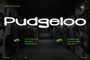 Pudgeeloo Creative Typeface Font, a Serif Font by Vadovastd (Thumbnail 1 of 7)