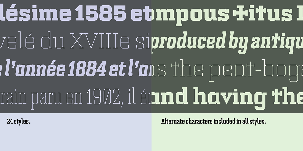 Bourgeois Slab, a Slab Serif Font by Barnbrook Fonts