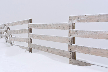wooden fence and snow