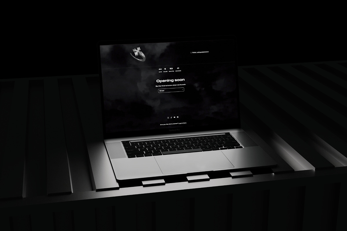 Starter V1 Shopify Theme, a Templates & Theme by TRAPICMOTION LLC (Photo 4 of 7)