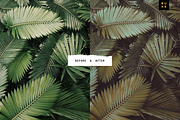 Aloha – 8 Lightroom Presets Pack, a Preset Add-On by SHOOM HOUSE (Thumbnail 4 of 7)