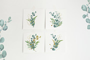 Watercolor Eucalyptus SET, a Decorative Illustration by TanataDesign (Thumbnail 3 of 16)