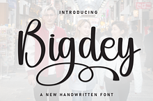 Bigdey | Script Font
