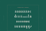 Kogarashi Display Font, a Serif Font by infernostudio3 (Thumbnail 10 of 10)