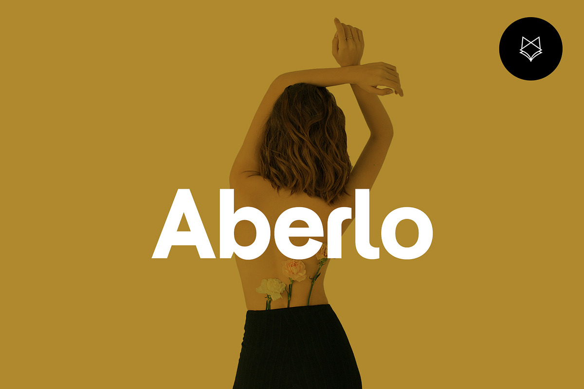 Aberlo Display Typeface, a Sans Serif Font by Foxtype (Photo 1 of 6)