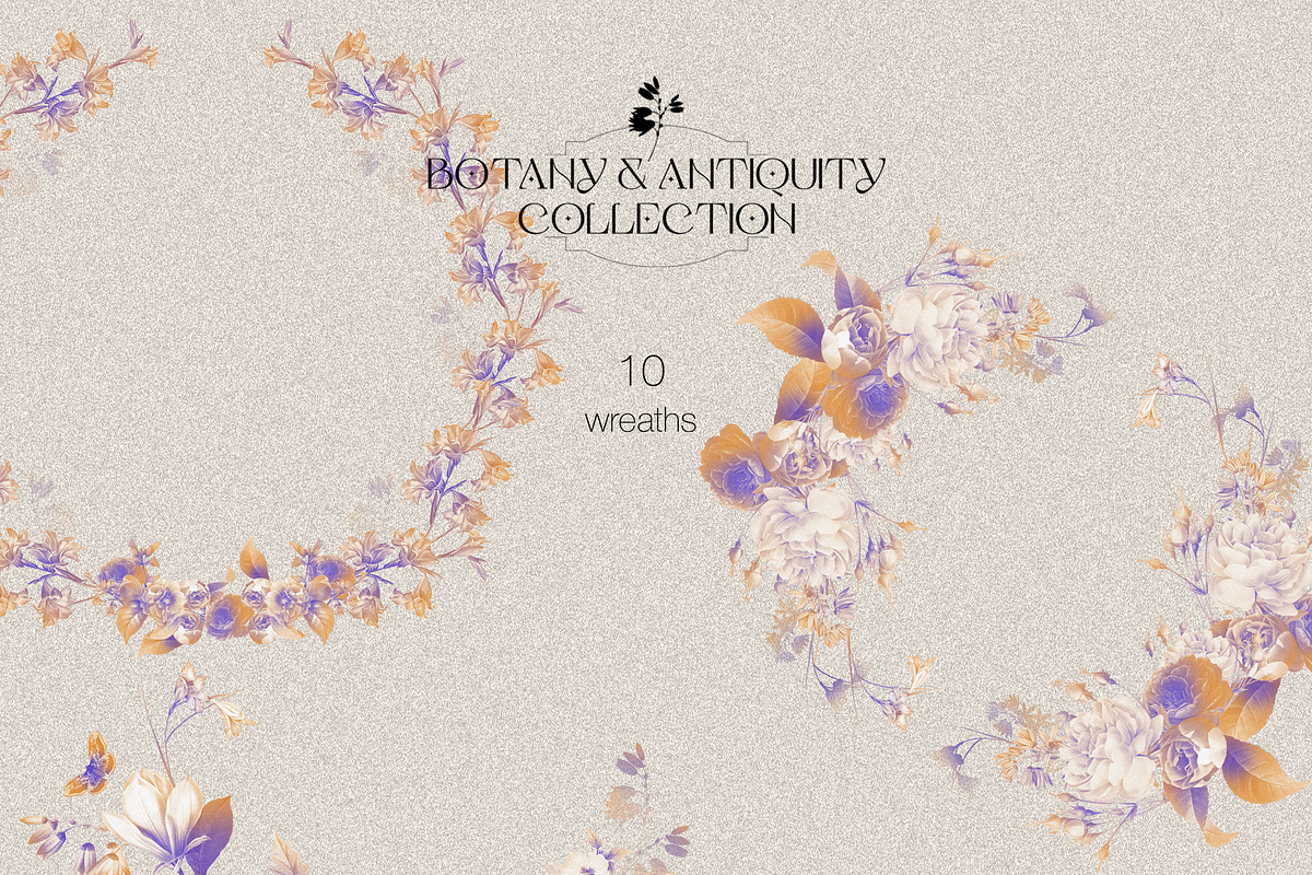 Botany & Antiquity Collection, an Object Graphic by Natali Batu (Photo 8 of 20)