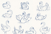 Vintage Swan Lake Clipart Collection, an Animal Illustration by Eyeinspire (Thumbnail 6 of 8)