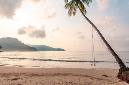 Beach and palm trees in the morning on the island, a Nature Photo by Art Rachen