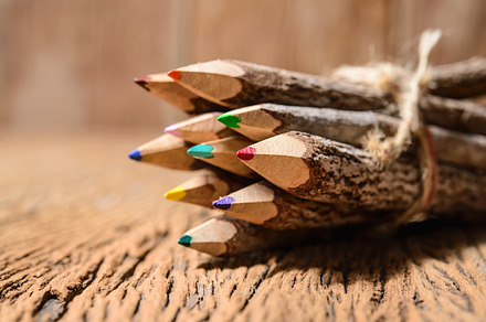 color pencil made of branches