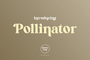 Pollinator Display Serif Font, a Serif Font by UICreative (Thumbnail 1 of 12)