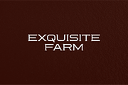 Reoctions Font, a Serif Font by brahamb_design (Thumbnail 2 of 5)
