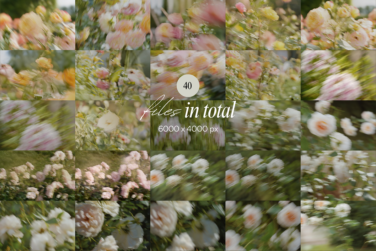 Delicate Blurry Floral Backgrounds, a Background Graphic by eclosque (Photo 31 of 31)