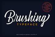 Brushing, a Script Font by Secondivison Supply (Thumbnail 1 of 8)