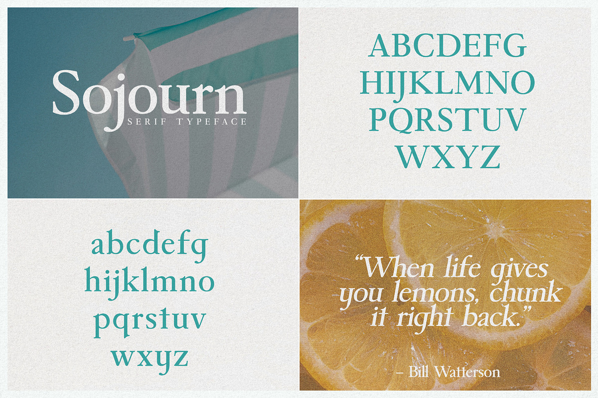 The Fashion Font Bundle (18 Fonts), a Serif Font by HipFonts (Photo 17 of 18)