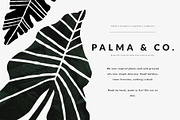 207 FOLK TROPICAL SHAPES AND BORDERS, a Decorative Illustration by Favete Art (Thumbnail 13 of 17)