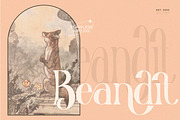 Nadier - Classic Retro Typeface, a Serif Font by Flawless And Co (Thumbnail 5 of 12)
